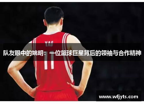 队友眼中的姚明：一位篮球巨星背后的领袖与合作精神