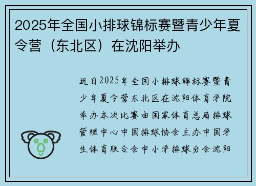 2025年全国小排球锦标赛暨青少年夏令营（东北区）在沈阳举办